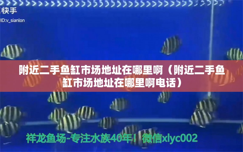 附近二手魚缸市場(chǎng)地址在哪里?。ǜ浇拄~缸市場(chǎng)地址在哪里啊電話）