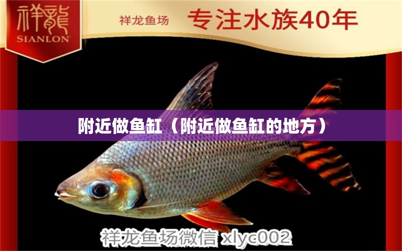 附近做魚缸（附近做魚缸的地方）