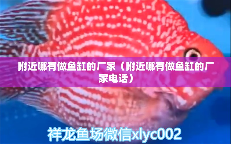 附近哪有做魚缸的廠家（附近哪有做魚缸的廠家電話）