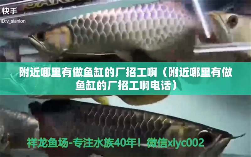 附近哪里有做魚缸的廠招工?。ǜ浇睦镉凶鲷~缸的廠招工啊電話）