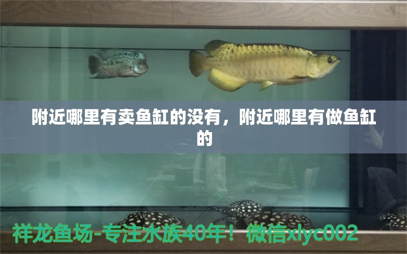 附近哪里有賣魚缸的沒有，附近哪里有做魚缸的