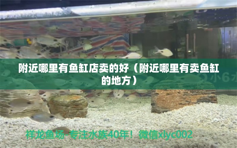 附近哪里有魚缸店賣的好（附近哪里有賣魚缸的地方）