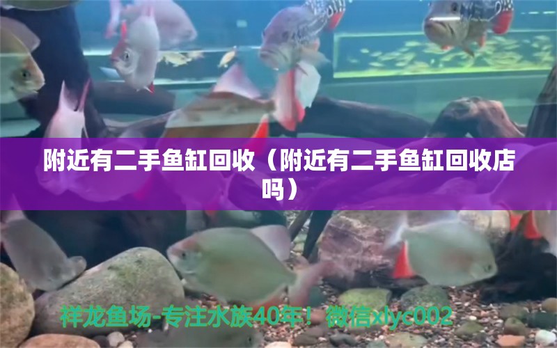 附近有二手魚缸回收（附近有二手魚缸回收店嗎） 其他品牌魚缸