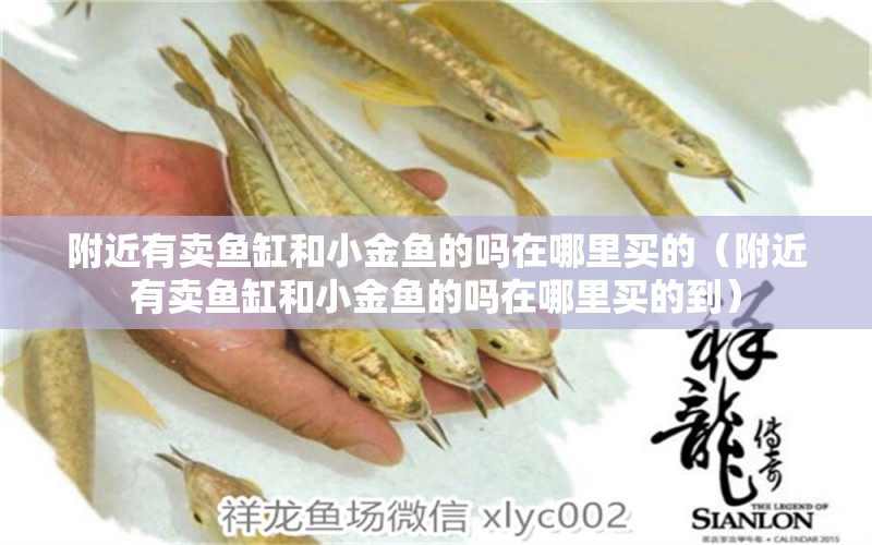 附近有賣(mài)魚(yú)缸和小金魚(yú)的嗎在哪里買(mǎi)的（附近有賣(mài)魚(yú)缸和小金魚(yú)的嗎在哪里買(mǎi)的到）