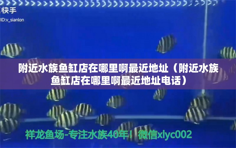 附近水族魚缸店在哪里啊最近地址（附近水族魚缸店在哪里啊最近地址電話） 祥龍水族醫(yī)院