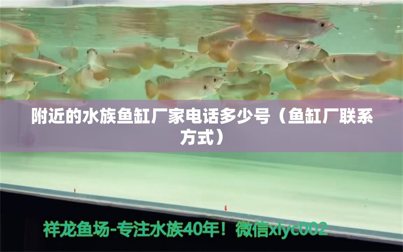 附近的水族魚缸廠家電話多少號（魚缸廠聯(lián)系方式）