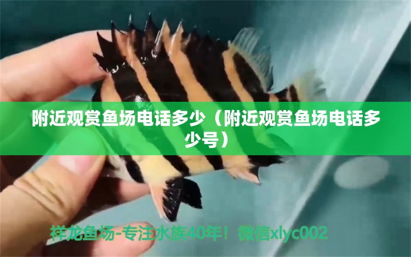 附近觀賞魚場(chǎng)電話多少（附近觀賞魚場(chǎng)電話多少號(hào)）