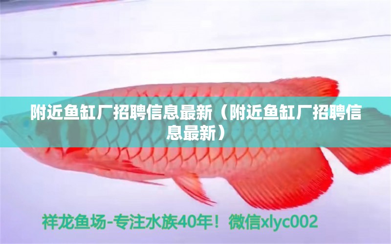 附近魚缸廠招聘信息最新（附近魚缸廠招聘信息最新）