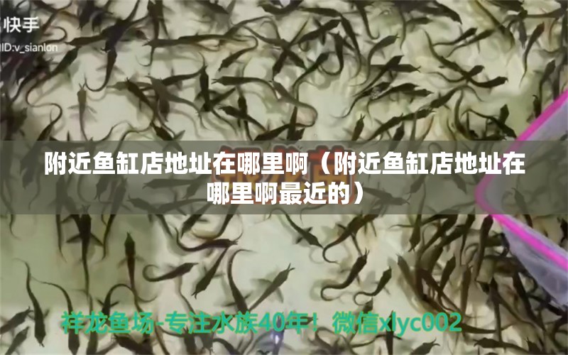 附近魚缸店地址在哪里啊（附近魚缸店地址在哪里啊最近的）