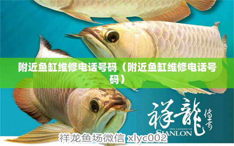 附近魚(yú)缸維修電話號(hào)碼（附近魚(yú)缸維修電話號(hào)碼）