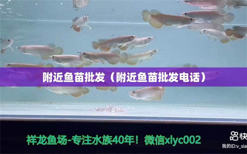 附近魚苗批發(fā)（附近魚苗批發(fā)電話）