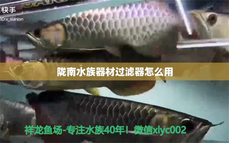 隴南水族器材過濾器怎么用 泰國斗魚