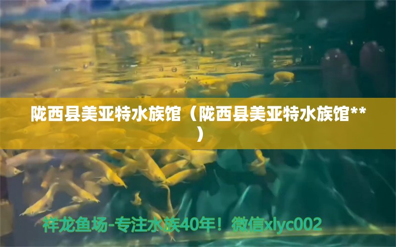 隴西縣美亞特水族館（隴西縣美亞特水族館**） 全國水族館企業(yè)名錄