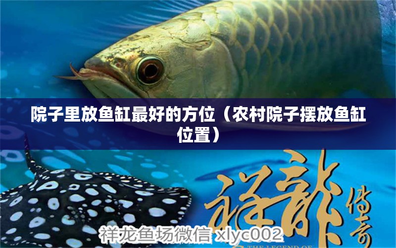 院子里放魚(yú)缸最好的方位（農(nóng)村院子擺放魚(yú)缸位置）