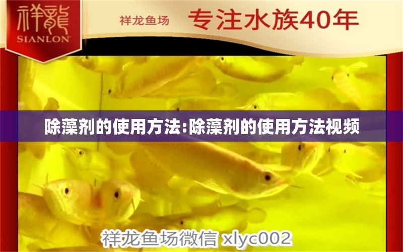 除藻劑的使用方法:除藻劑的使用方法視頻 大日玉鯖魚 第1張