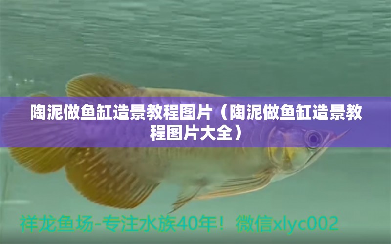 陶泥做魚缸造景教程圖片（陶泥做魚缸造景教程圖片大全）