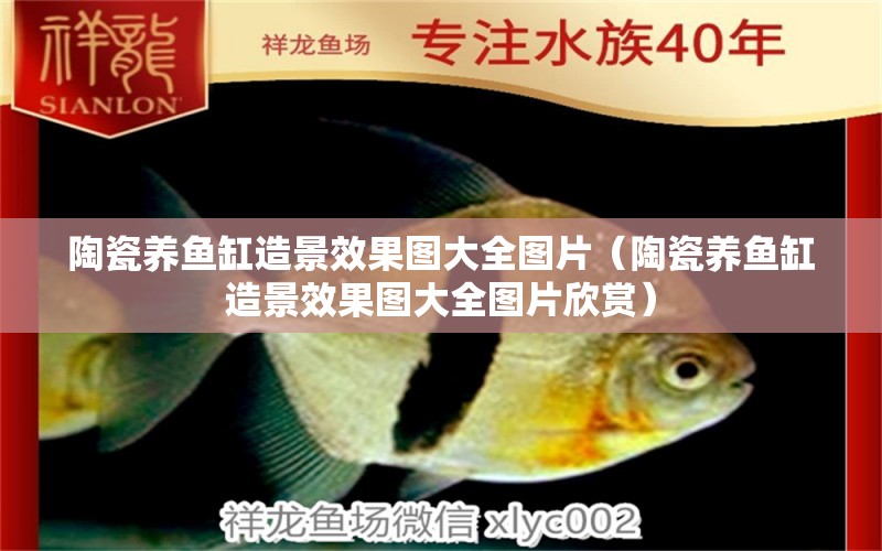 陶瓷養(yǎng)魚缸造景效果圖大全圖片（陶瓷養(yǎng)魚缸造景效果圖大全圖片欣賞）