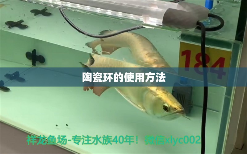 陶瓷環(huán)的使用方法 藍(lán)帆三間魚