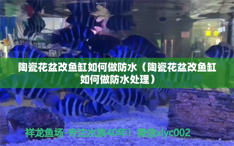 陶瓷花盆改魚缸如何做防水（陶瓷花盆改魚缸如何做防水處理）