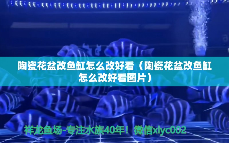 陶瓷花盆改魚缸怎么改好看（陶瓷花盆改魚缸怎么改好看圖片） 觀賞魚市場（混養(yǎng)魚）