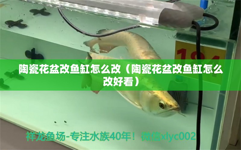 陶瓷花盆改魚缸怎么改（陶瓷花盆改魚缸怎么改好看）