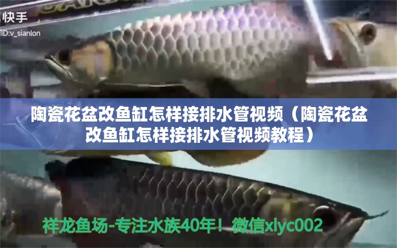 陶瓷花盆改魚缸怎樣接排水管視頻（陶瓷花盆改魚缸怎樣接排水管視頻教程）