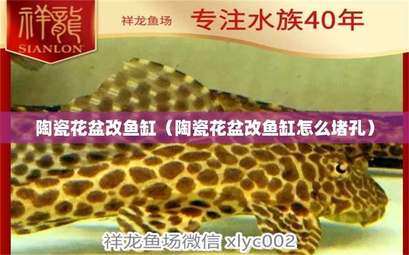 陶瓷花盆改魚缸（陶瓷花盆改魚缸怎么堵孔）