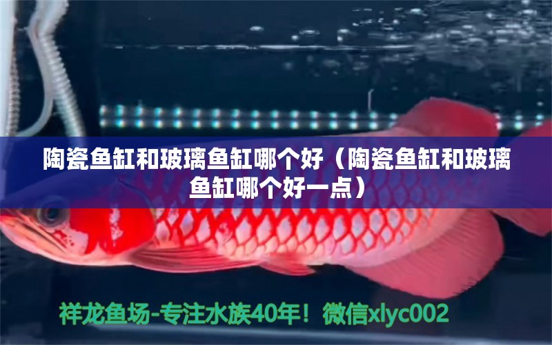 陶瓷魚(yú)缸和玻璃魚(yú)缸哪個(gè)好（陶瓷魚(yú)缸和玻璃魚(yú)缸哪個(gè)好一點(diǎn)） 文玩