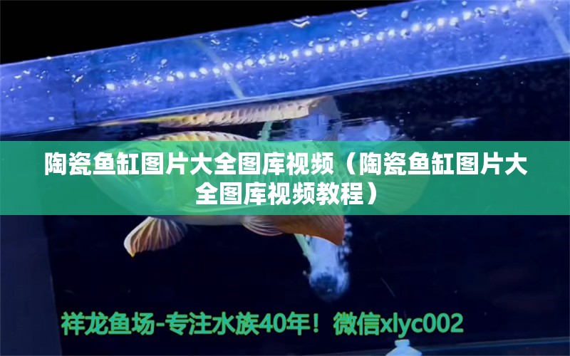 陶瓷魚缸圖片大全圖庫視頻（陶瓷魚缸圖片大全圖庫視頻教程）