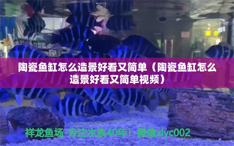 陶瓷魚缸怎么造景好看又簡(jiǎn)單（陶瓷魚缸怎么造景好看又簡(jiǎn)單視頻）