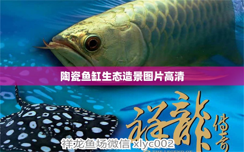 陶瓷魚缸生態(tài)造景圖片高清