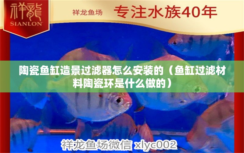 陶瓷魚缸造景過濾器怎么安裝的（魚缸過濾材料陶瓷環(huán)是什么做的） 紅老虎魚 第1張