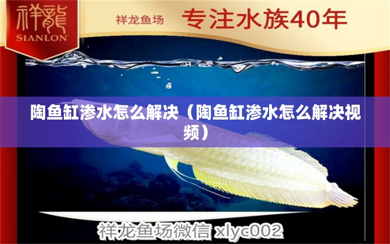 陶魚缸滲水怎么解決（陶魚缸滲水怎么解決視頻） 祥龍水族醫(yī)院