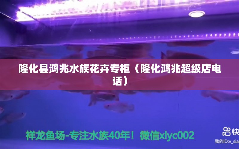 隆化縣鴻兆水族花卉專柜（隆化鴻兆超級(jí)店電話） 全國(guó)水族館企業(yè)名錄