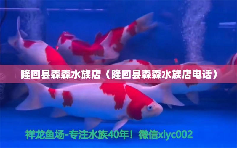 隆回縣森森水族店（隆回縣森森水族店電話）