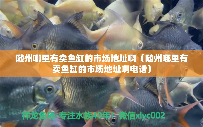 隨州哪里有賣(mài)魚(yú)缸的市場(chǎng)地址啊（隨州哪里有賣(mài)魚(yú)缸的市場(chǎng)地址啊電話(huà)） 觀賞魚(yú)市場(chǎng)（混養(yǎng)魚(yú)）