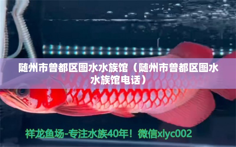 隨州市曾都區(qū)圖水水族館（隨州市曾都區(qū)圖水水族館電話）