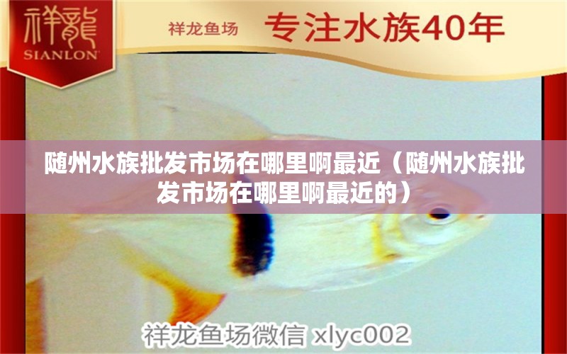 隨州水族批發(fā)市場在哪里啊最近（隨州水族批發(fā)市場在哪里啊最近的）