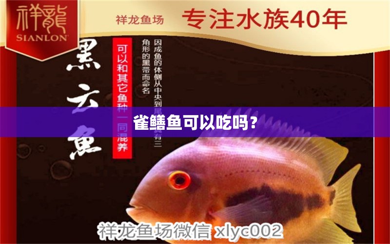 雀鱔魚(yú)可以吃嗎？ 充氧泵