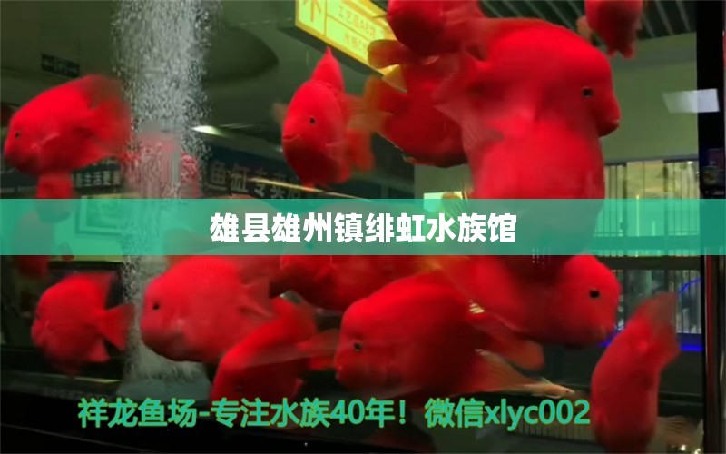 雄縣雄州鎮(zhèn)緋虹水族館 全國(guó)水族館企業(yè)名錄