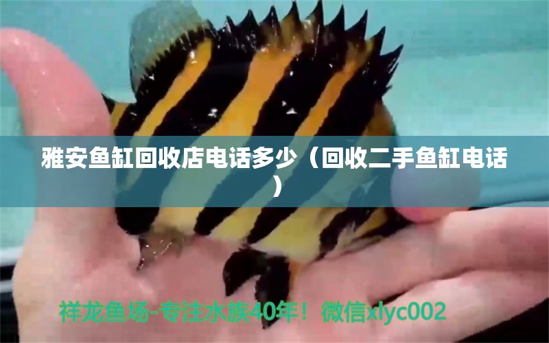 雅安魚缸回收店電話多少（回收二手魚缸電話） 量子養(yǎng)魚技術(shù)