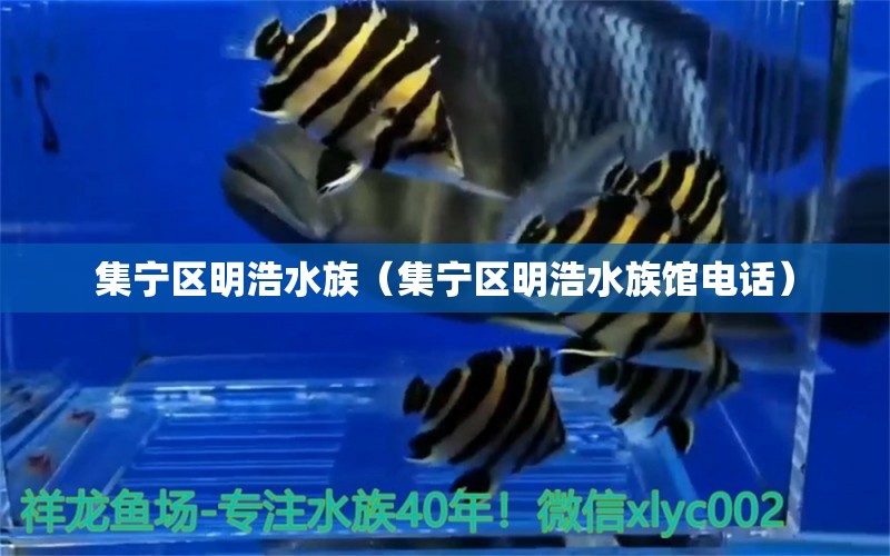 集寧區(qū)明浩水族（集寧區(qū)明浩水族館電話）