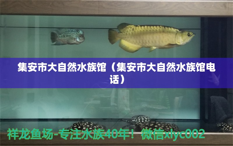 集安市大自然水族館（集安市大自然水族館電話） 全國水族館企業(yè)名錄