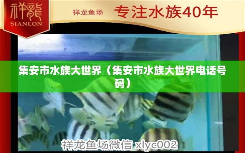 集安市水族大世界（集安市水族大世界電話號(hào)碼）