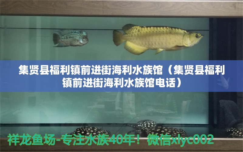 集賢縣福利鎮(zhèn)前進(jìn)街海利水族館（集賢縣福利鎮(zhèn)前進(jìn)街海利水族館電話）