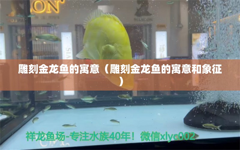 雕刻金龍魚的寓意（雕刻金龍魚的寓意和象征）