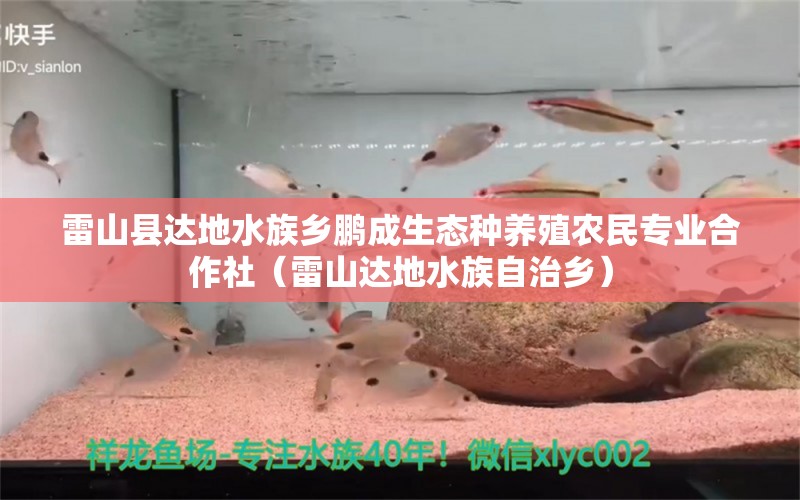 雷山縣達(dá)地水族鄉(xiāng)鵬成生態(tài)種養(yǎng)殖農(nóng)民專業(yè)合作社（雷山達(dá)地水族自治鄉(xiāng)）