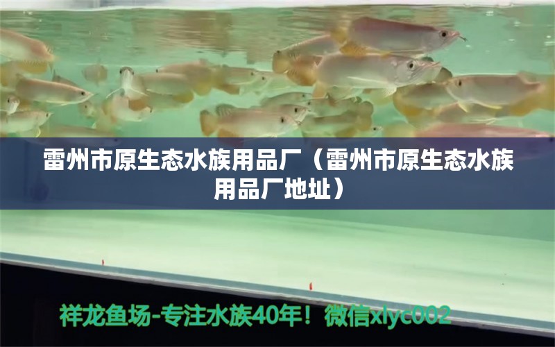 雷州市原生態(tài)水族用品廠（雷州市原生態(tài)水族用品廠地址） 水族用品