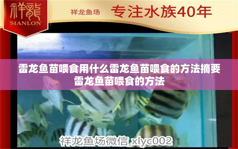 雷龍魚苗喂食用什么雷龍魚苗喂食的方法摘要雷龍魚苗喂食的方法 白子黃化銀龍魚