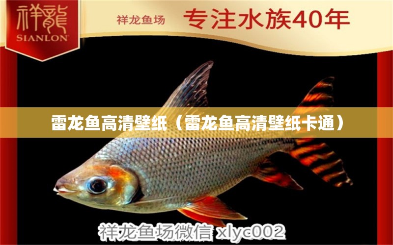 雷龍魚(yú)高清壁紙（雷龍魚(yú)高清壁紙卡通）